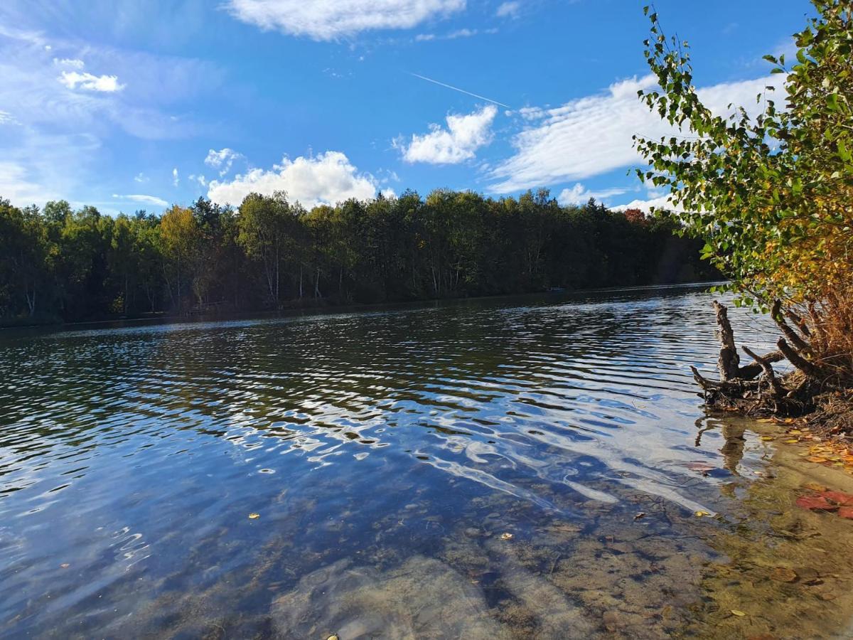 Ferienwohnung Am See Dillich - Eigener Garten - Ruhige Lage - Natur Vor Der Haustuer Borken  Exteriör bild