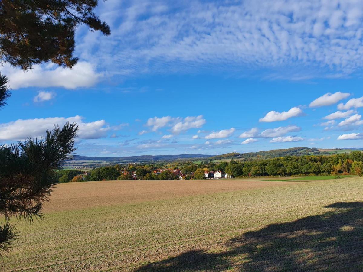 Ferienwohnung Am See Dillich - Eigener Garten - Ruhige Lage - Natur Vor Der Haustuer Borken  Exteriör bild