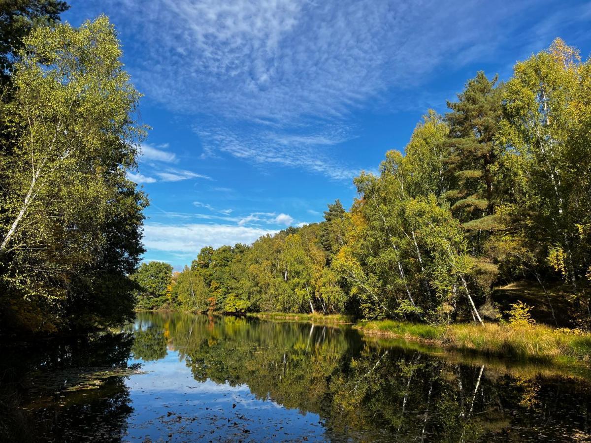 Ferienwohnung Am See Dillich - Eigener Garten - Ruhige Lage - Natur Vor Der Haustuer Borken  Exteriör bild