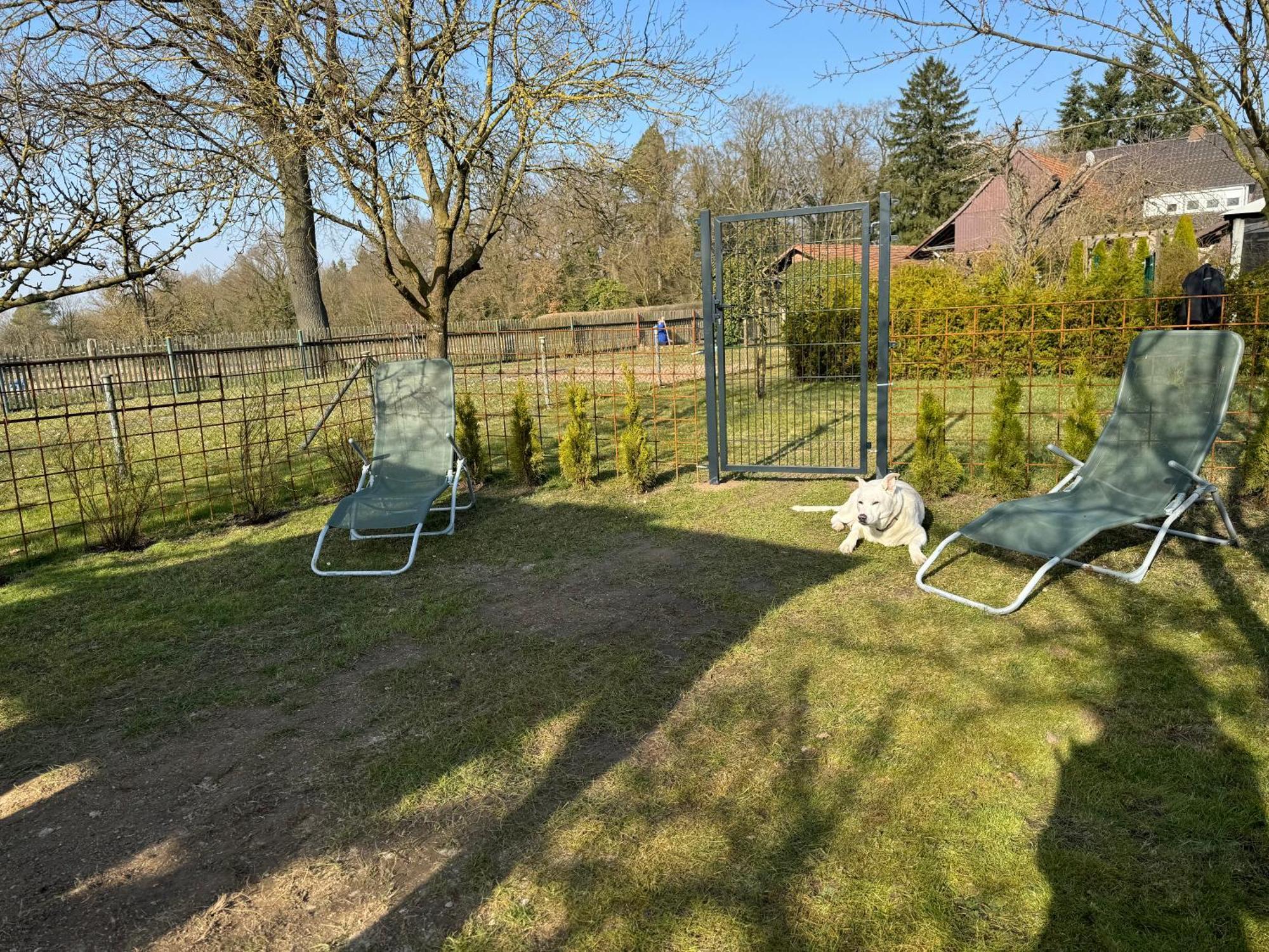 Ferienwohnung Am See Dillich - Eigener Garten - Ruhige Lage - Natur Vor Der Haustuer Borken  Exteriör bild
